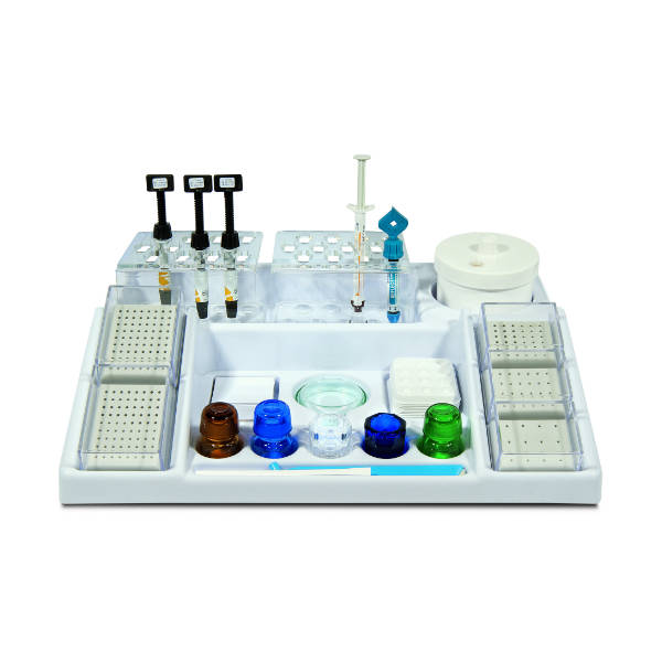 Organisaator, suur