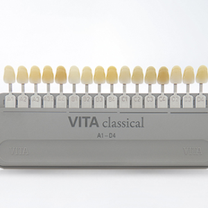 Shade Guide VITA classical värvivõti A1 - D4