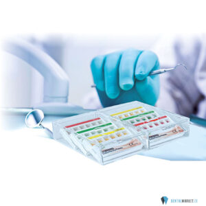 Endo-Station Go Gutta Box 2x6