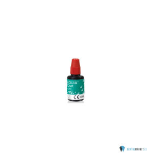 Equia Coat 4ml valguskõvastuv posterior