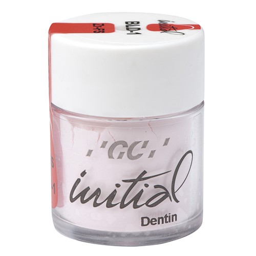 Initial Zr-FS Dentin