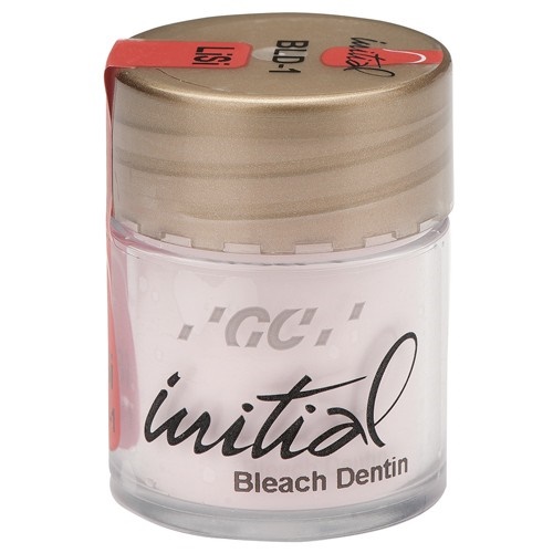 Initial LiSi Bleach Dentin