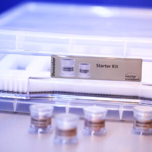 IPS Ivocolor Kits