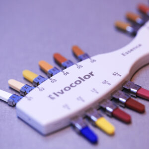 IPS Ivocolor Shade Guides